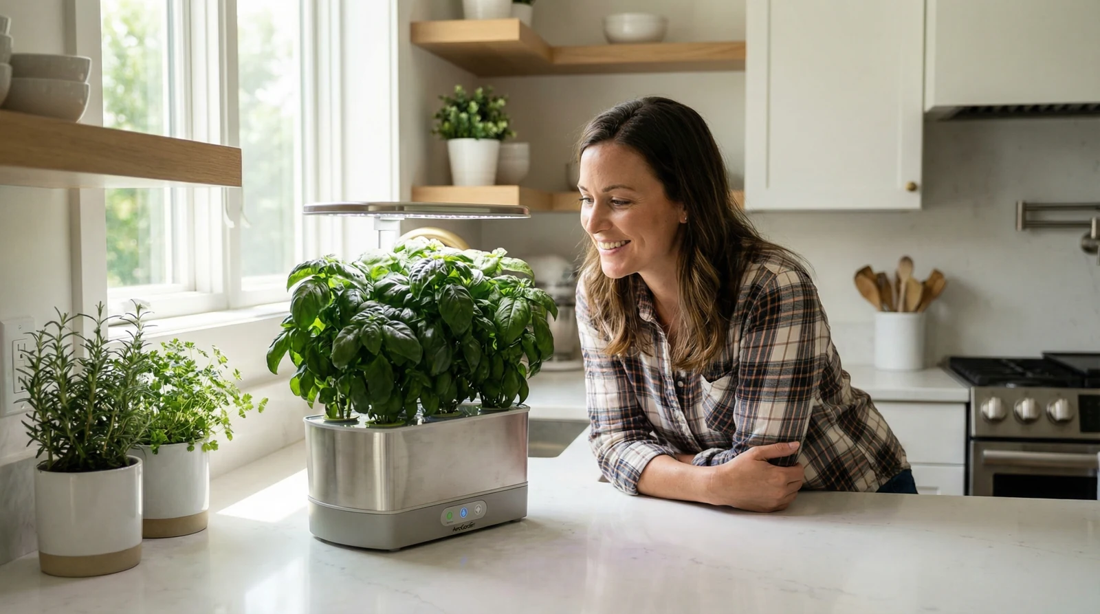 A woman looks at basil plants in a kitchen garden.